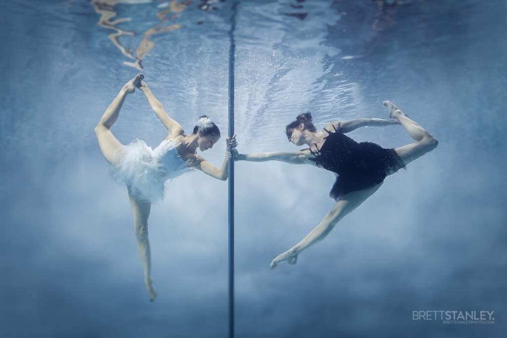 Underwater Photographer Brett Stanley (6)