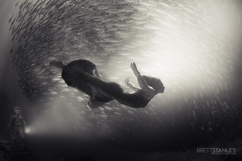 Underwater Photographer Brett Stanley (14)