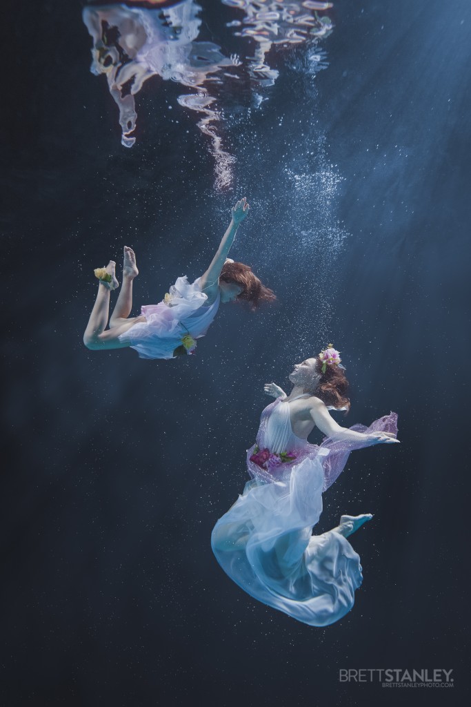 Underwater Photographer Brett Stanley (24)