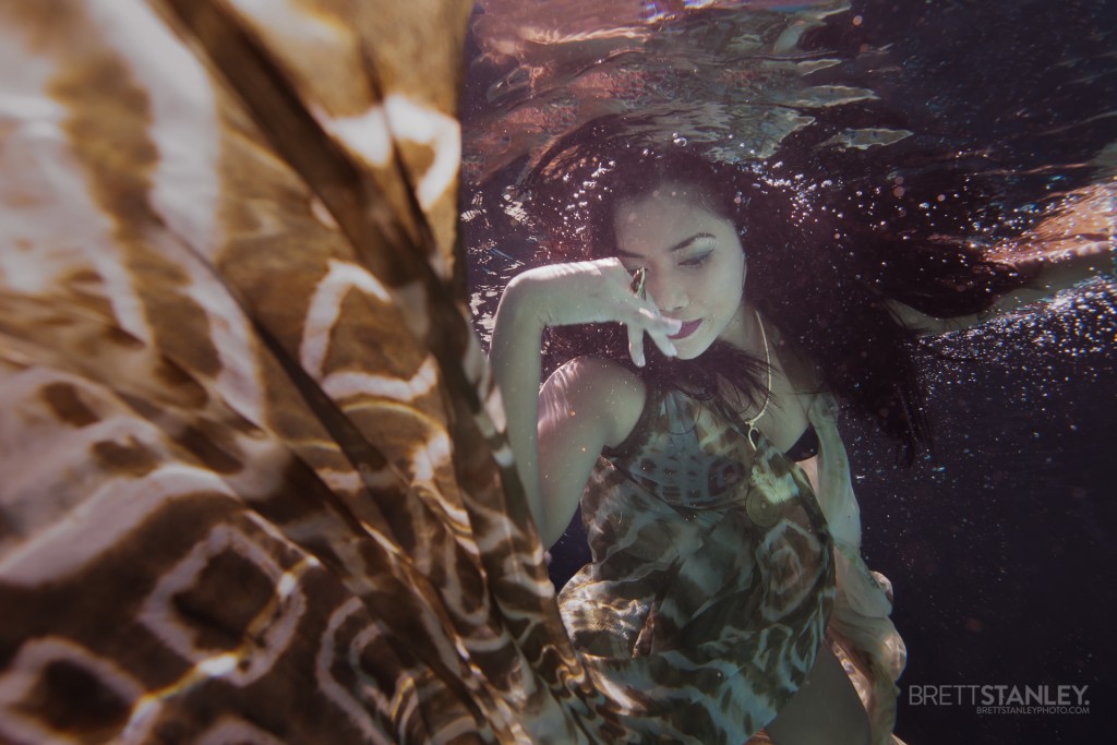 Underwater Photographer Brett Stanley (40)