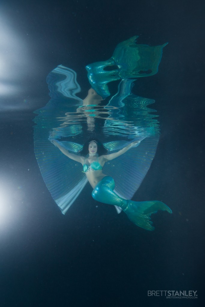 Underwater Photographer Brett Stanley (47)