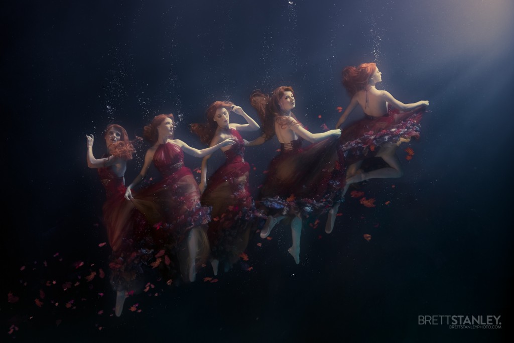 Underwater Photographer Brett Stanley (50)