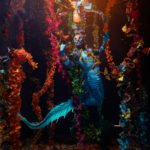 Halloween Underwater Garden Photoshoots – 2020