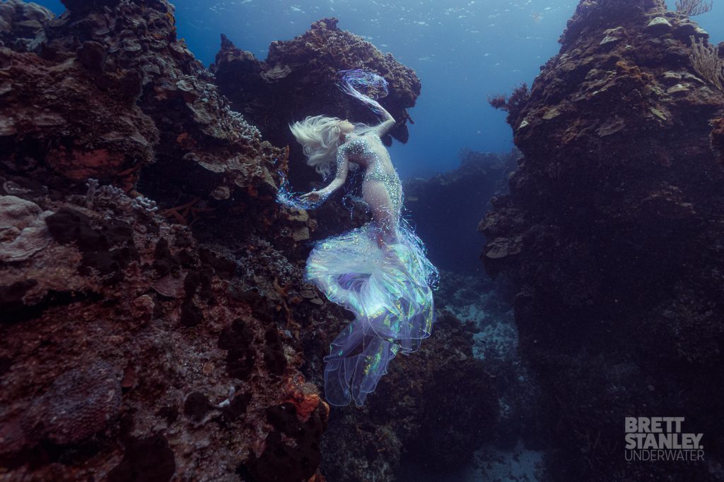 Underwater Photoshoots - Bali 2024
