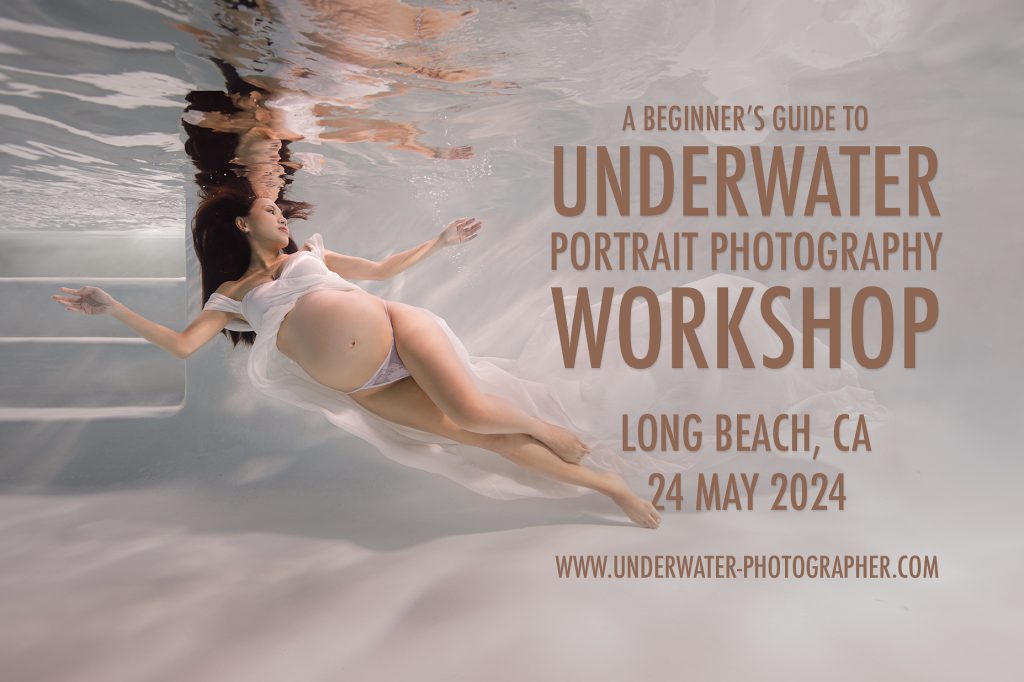 Introduction To Underwater Photography Workshop
