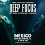 Deep Focus: Freediving Photography & Modeling Retreat – Mexico May 2026