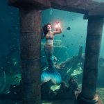 Europe Underwater Photoshoots 2026